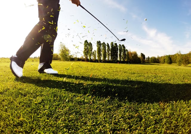 golf swing data
