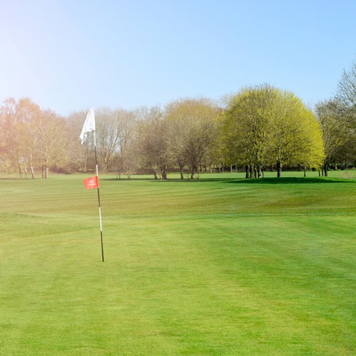 golf target mark