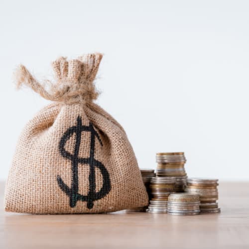 coins in pouch