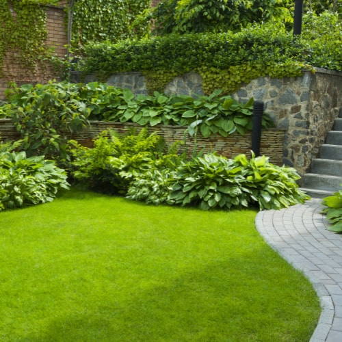 yard space